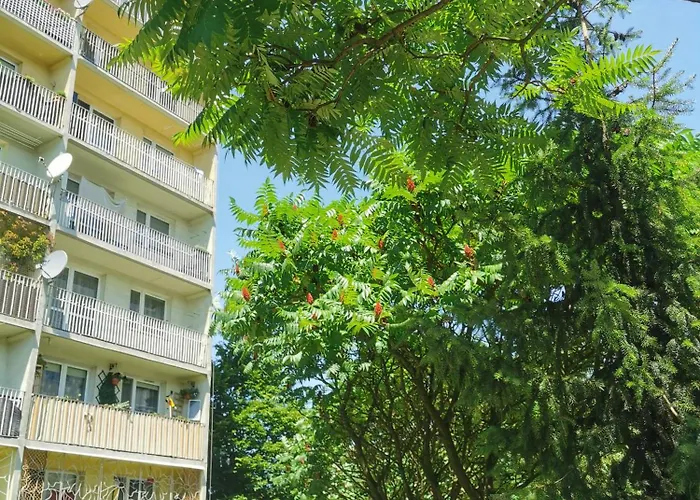 Przytulne Mieszkanie W Centrum *